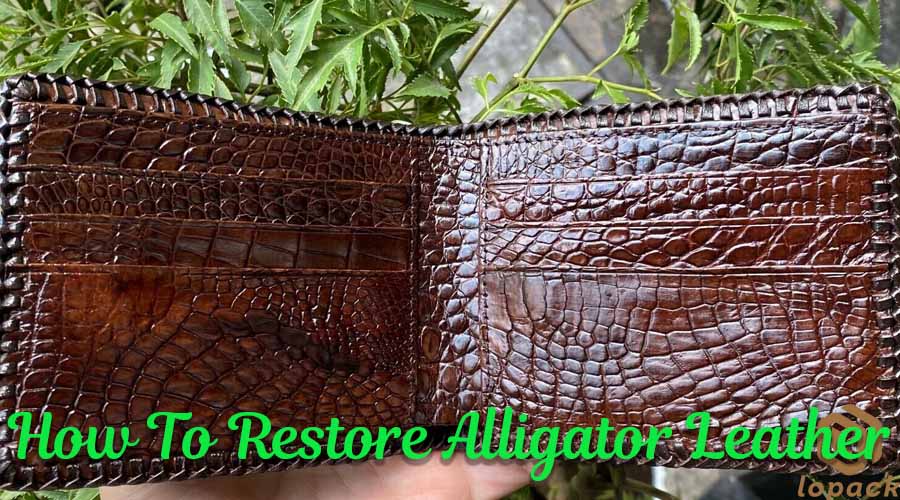 How To Restore Alligator Leather