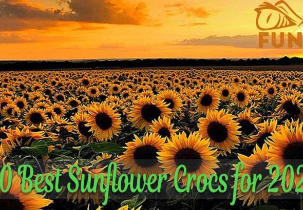 30 Best Sunflower Crocs for 2023